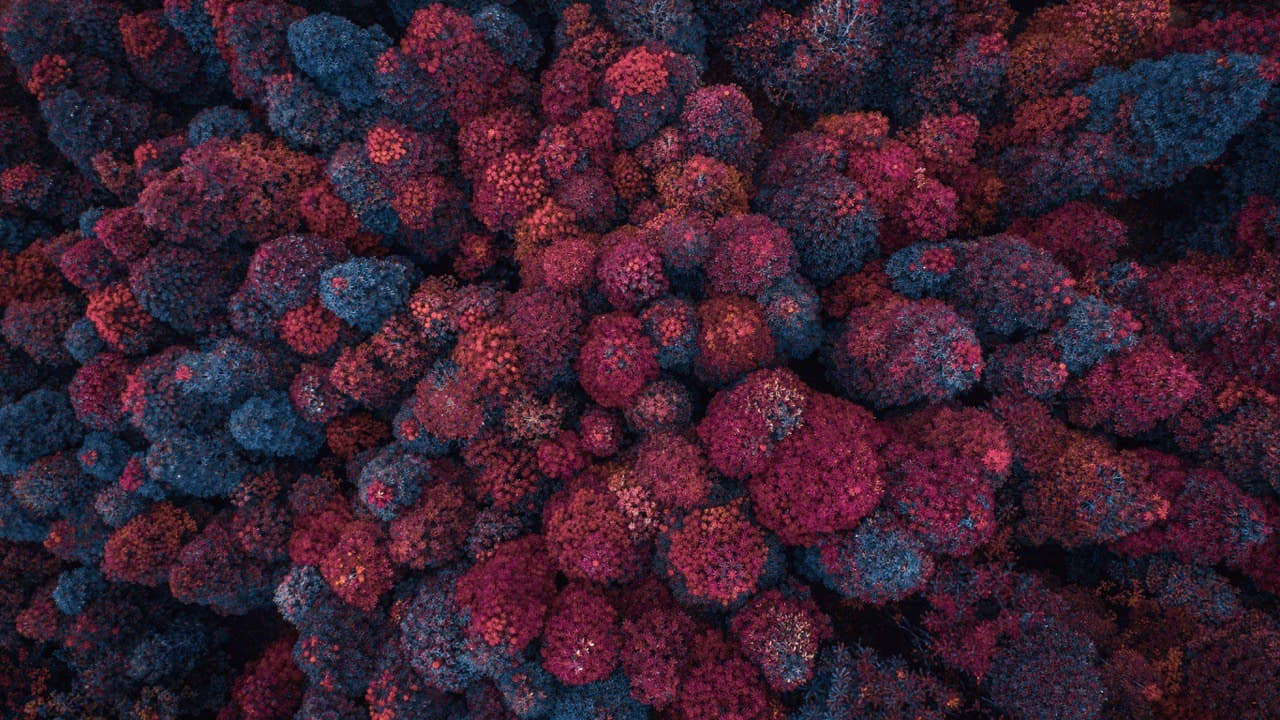 Luxury fragrance background